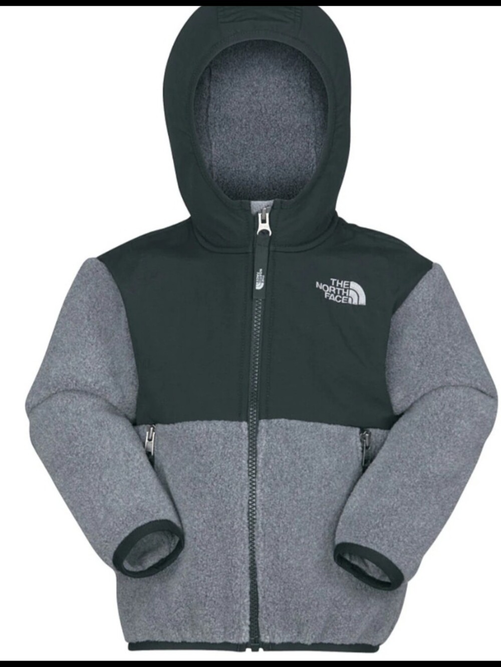 The North Face Denali Hooded Fleece Jacket